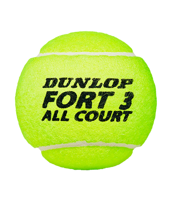 Bote de Pelotas Dunlop Fort All Court (x4)